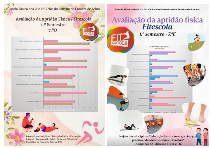 Educação Física e Formação Integral 