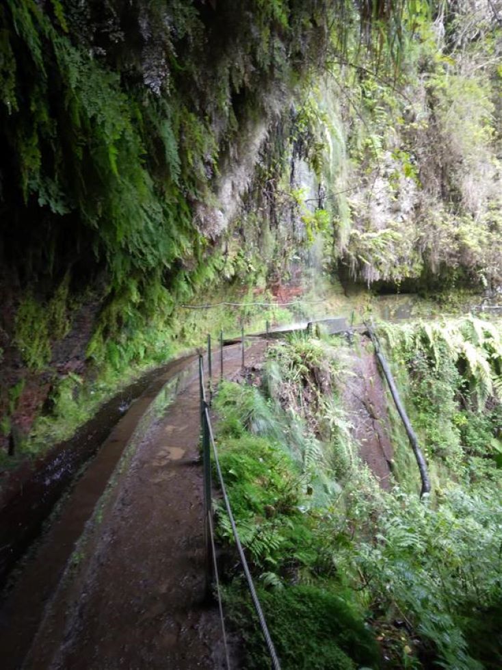 Caminhada - Levada do Rei