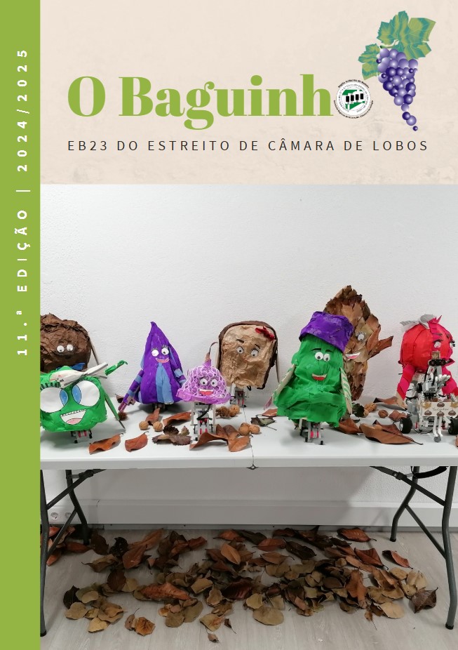 Revista 
