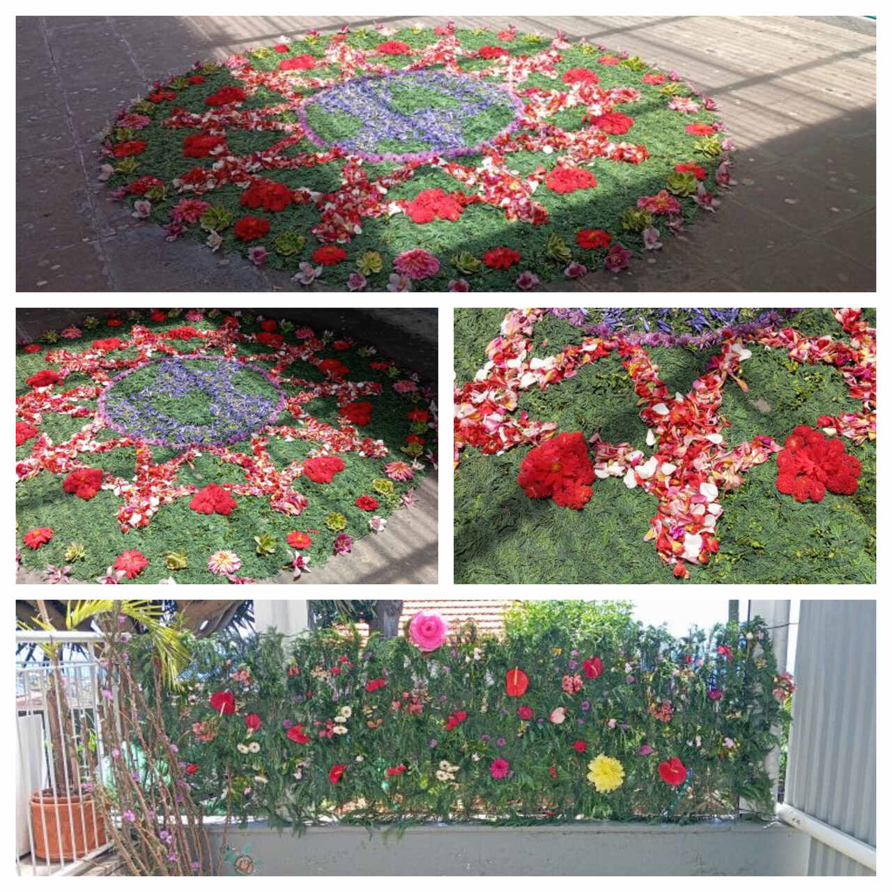 Festa da flor na nossa escola