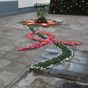 Img 0703