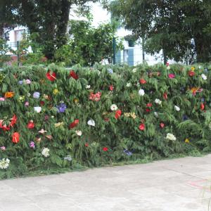 Img 0704