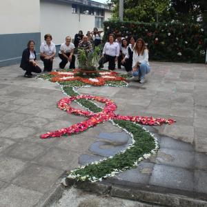 Img 0707