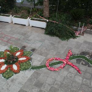Img 0722