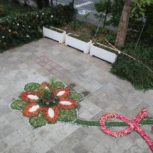 Img 0723