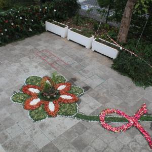 Img 0724